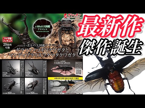 ガチャガチャ】いきもの大図鑑アドバンス『ギラファノコギリクワガタと