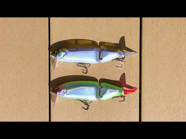 どっちが本物のタイニークラッシュか分かりますか？ - YouTube