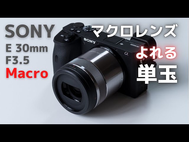 SONY E 30mm F3.5 Macro をスチル目線でレビューします。α6600