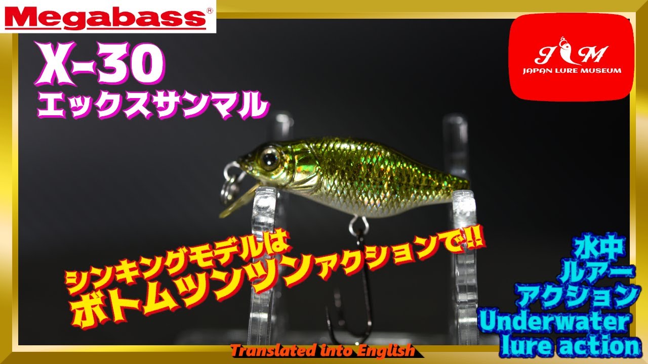 水中動画】【X-30】実はクランクベイトだそうです。金魚並みのサイズで