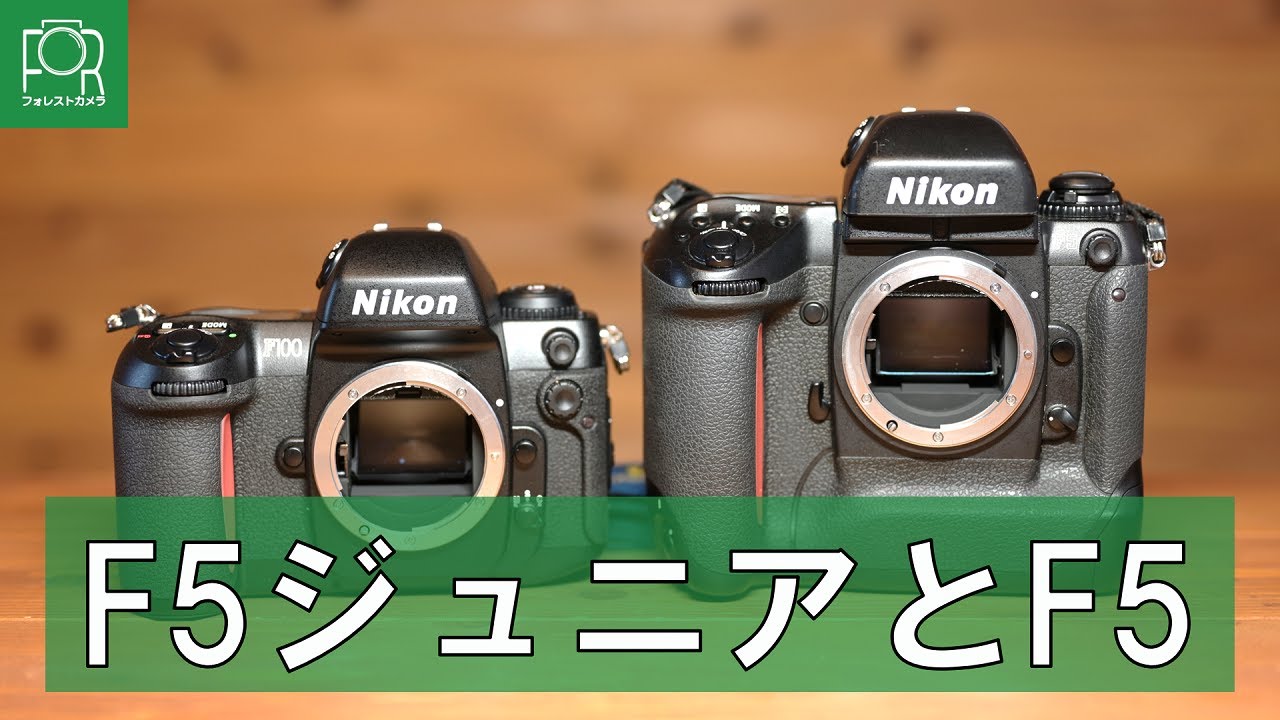 兄弟対決】Nikon F100とNikon F5を徹底比較！【AFフィルム一眼レフ