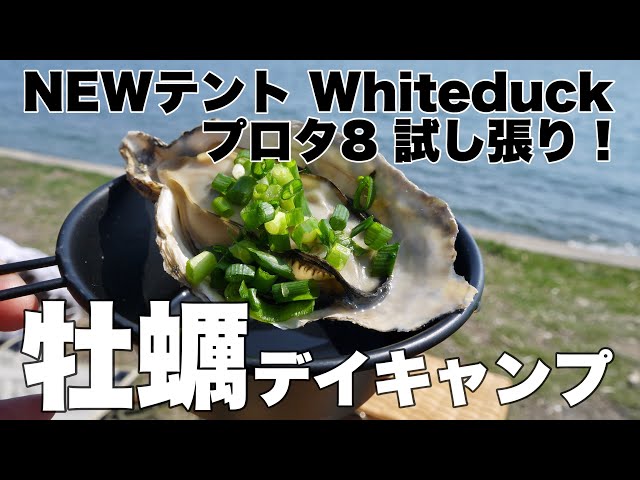丸山県民サンビーチ】ホワイトダックテント プロタ8 試し張り牡蠣デイ