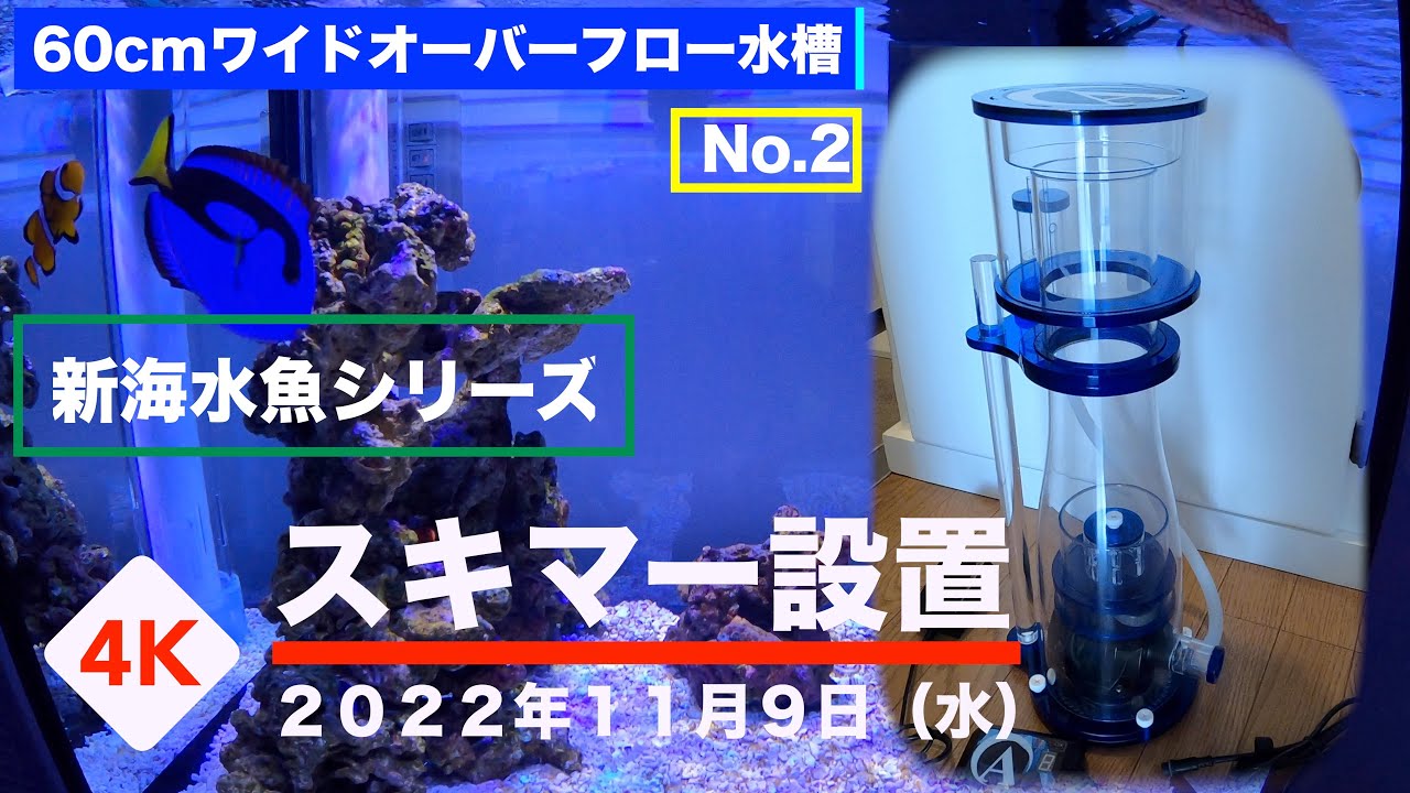 New 60cm Wide Overflow Saltwater Fish Tank No. 2 ZOOX ALTIMA 300CS