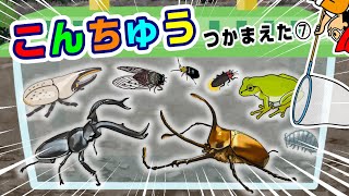 Insect Names] Insect Names! Insect Collecting 7〈Rhinoceros Beetle