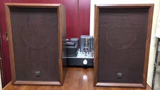 オーディオ視聴動画 自作スピーカー DIATONE(MITSUBISHI) フルレンジ