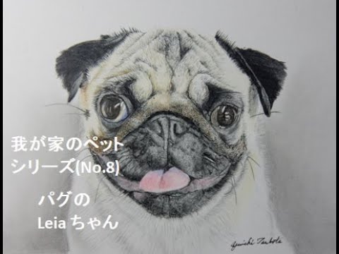 色鉛筆画】我が家のペットシリーズ 第8回目 パグのLeia ちゃん - YouTube