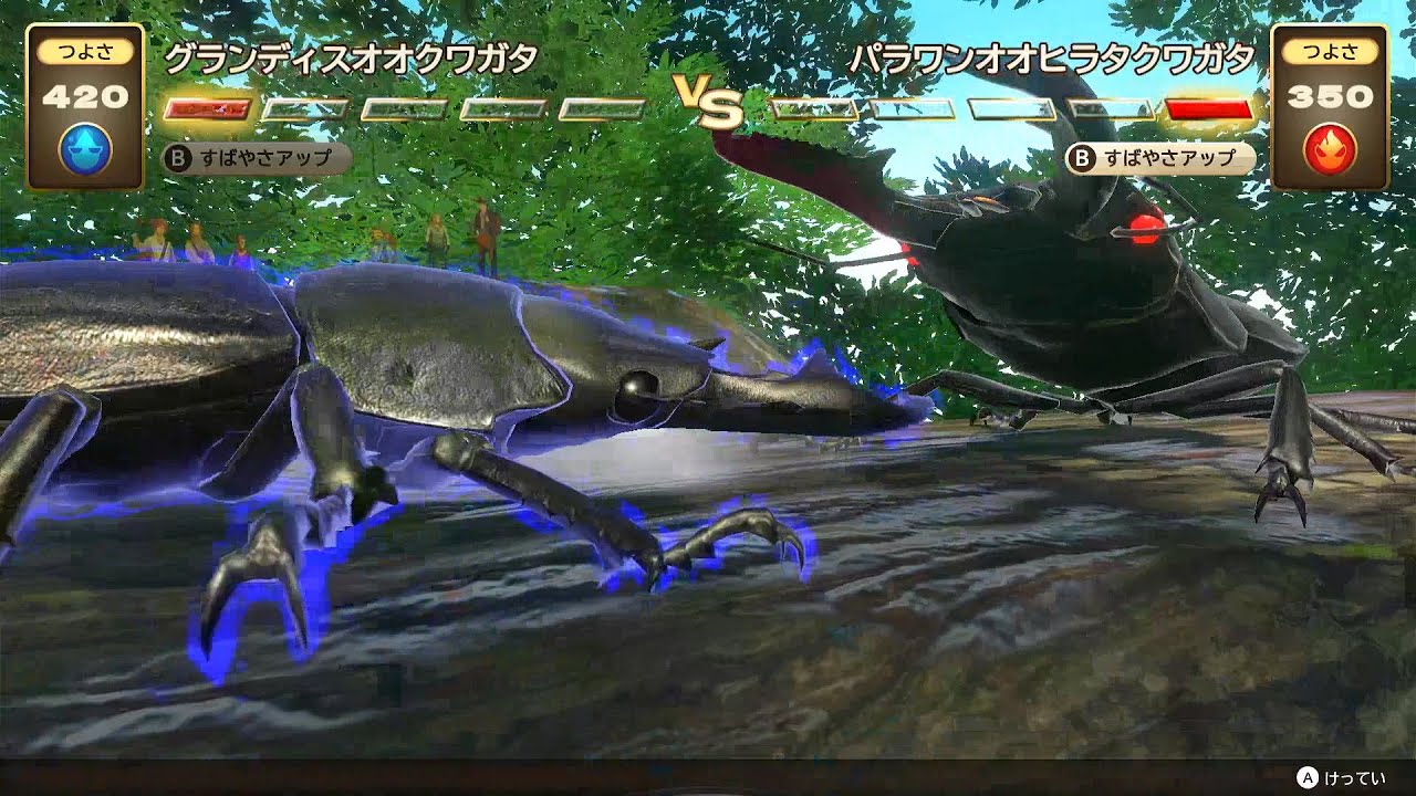 カブトクワガタ - グランディスオオクワガタ VS パラワンオオ