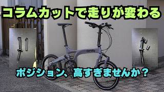 birdy] Position makes all the difference. Special sale of pre-cut