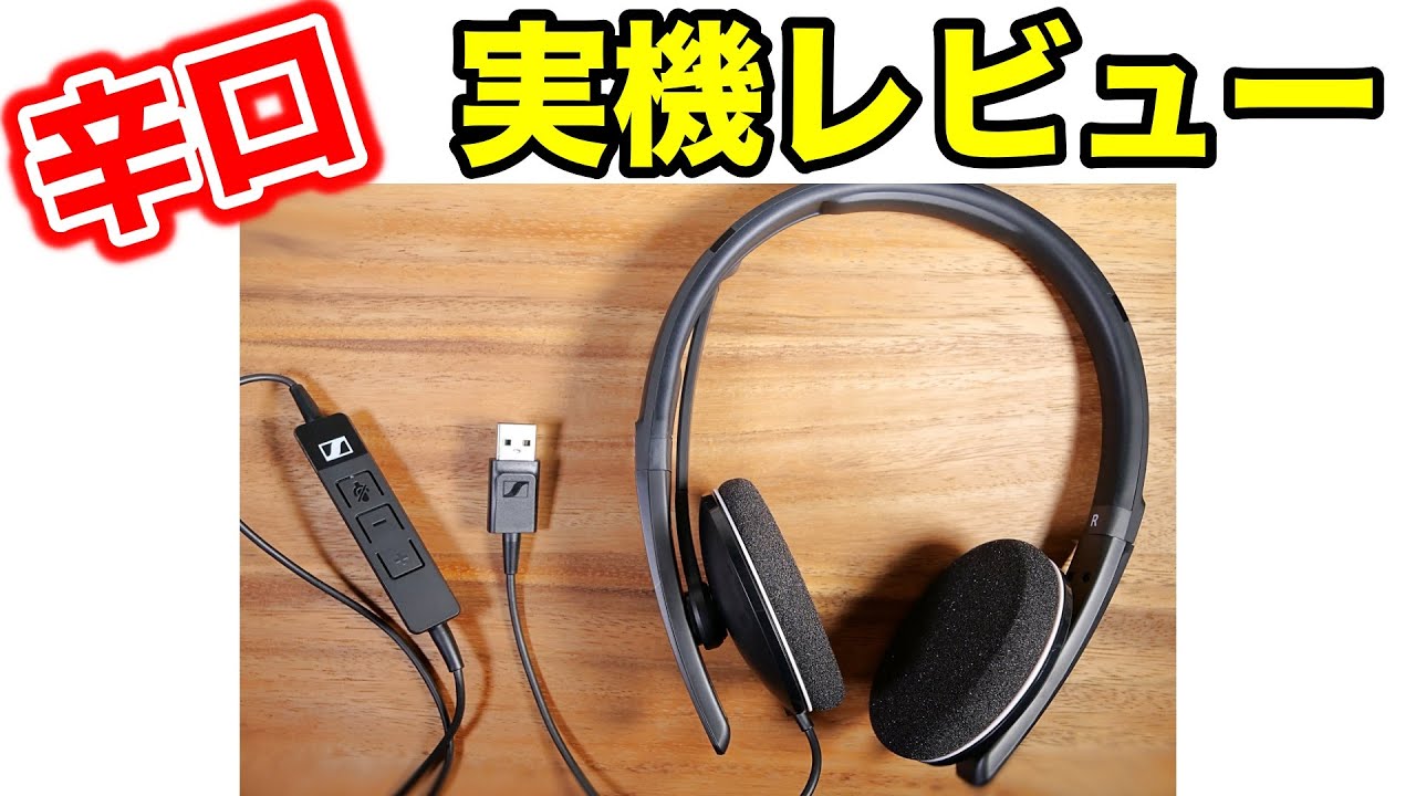 この声、気持ちイイ〜 ゼンハイザー ヘッドセット VoIP PC 8 2 USB