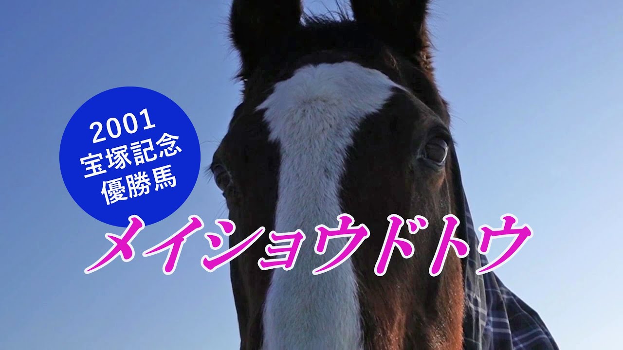 現地単勝2001宝塚記念 メイショウドトウ100円 テイエムオペラオー