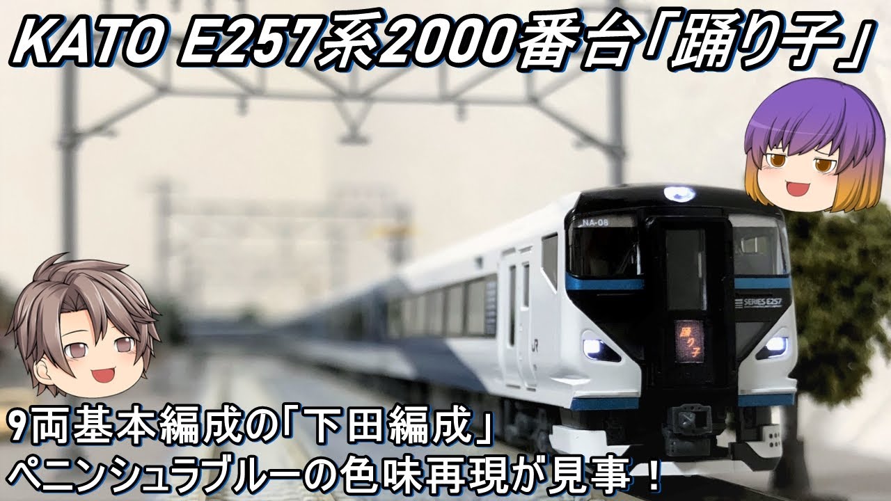 Nゲージ】KATO E257系2000番台「踊り子」9両セットを導入してみた