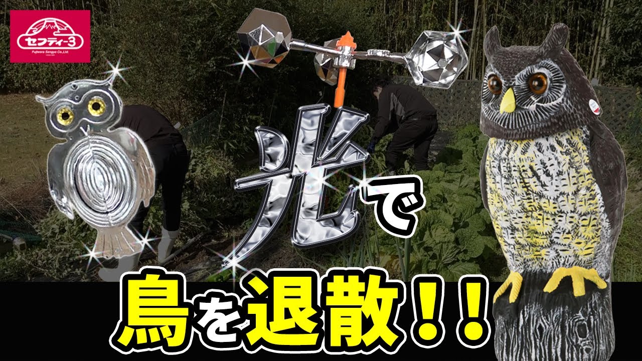 光で鳥を退散！！【藤原産業】 - YouTube