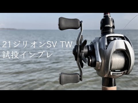 21 Zillion SV TW. Hmm. It's the best, but I'm a little