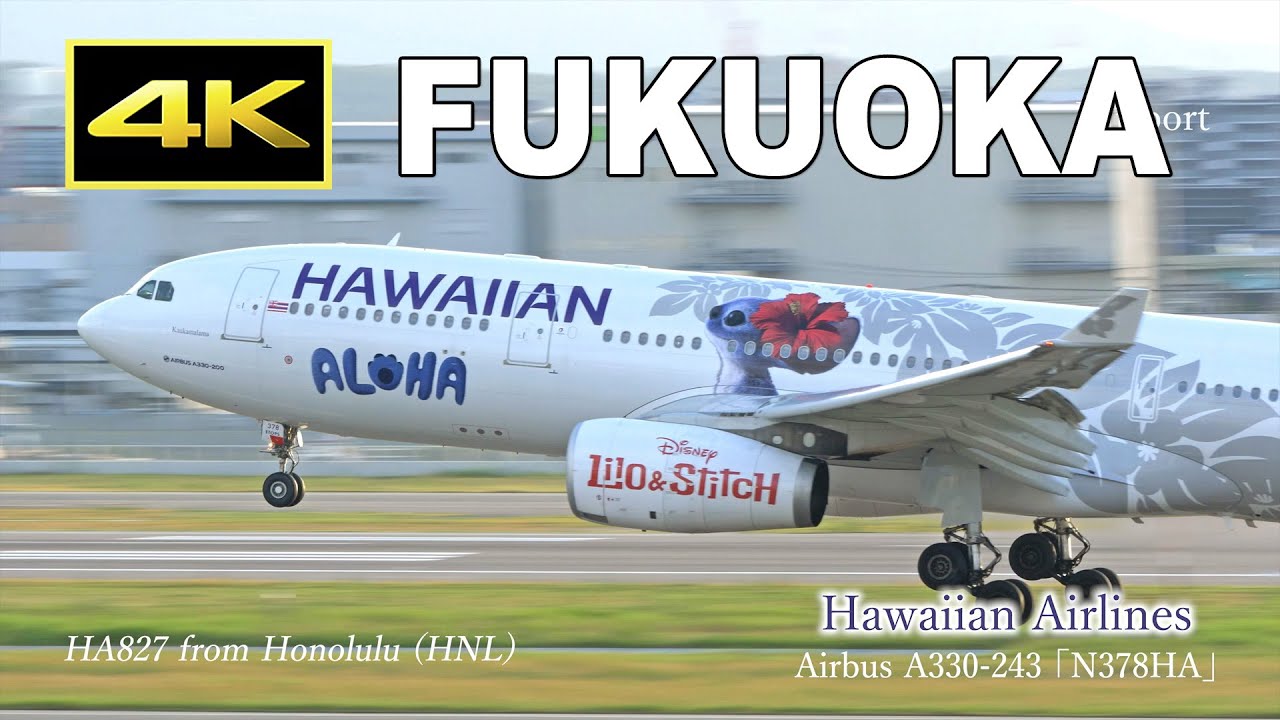 4K] ハワイアン航空 リロ＆スティッチ塗装機 - Plane spotting at