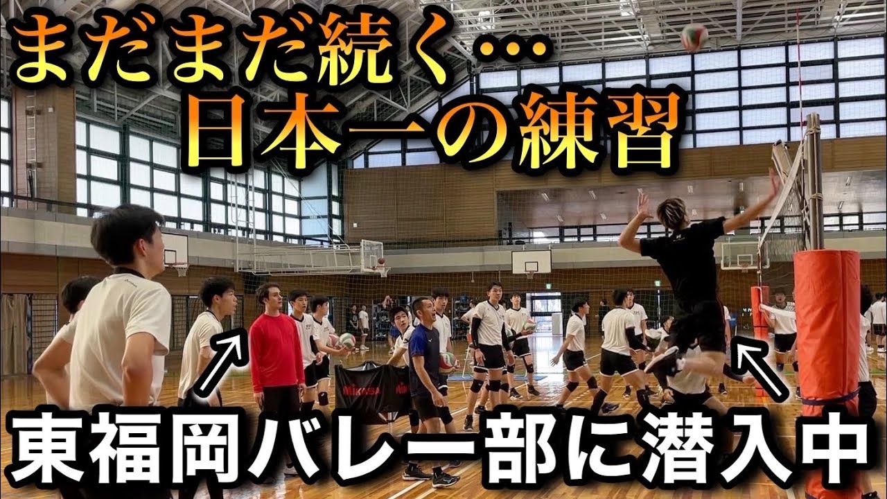 No genius can beat hard work] BeeQuick infiltrates the volleyball