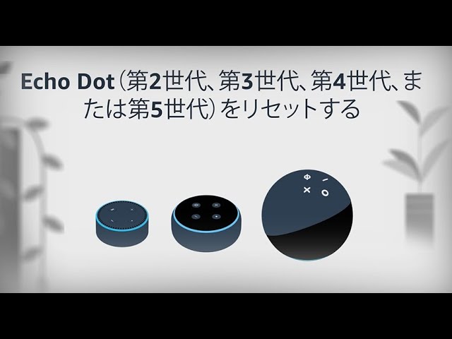 Echo Dot（第2世代、第3世代、第4世代、または第5世代）をリセットする