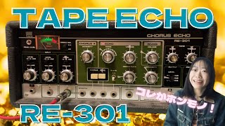 テープエコー】デッカくて愛らしい。ローランドRE-301を紹介！ - YouTube