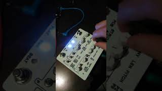 Montreal Assembly 856 for ZELLERSASN - Pedal on ModularGrid