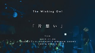 The Winking Owl (ザ・ウィンキング・オウル) | ライブ・セットリスト
