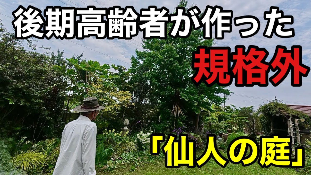 Master Osamu's garden was incredibly amazing this year. [Gardening