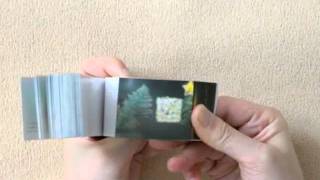 パラパラブックス：本・絵本：百町森