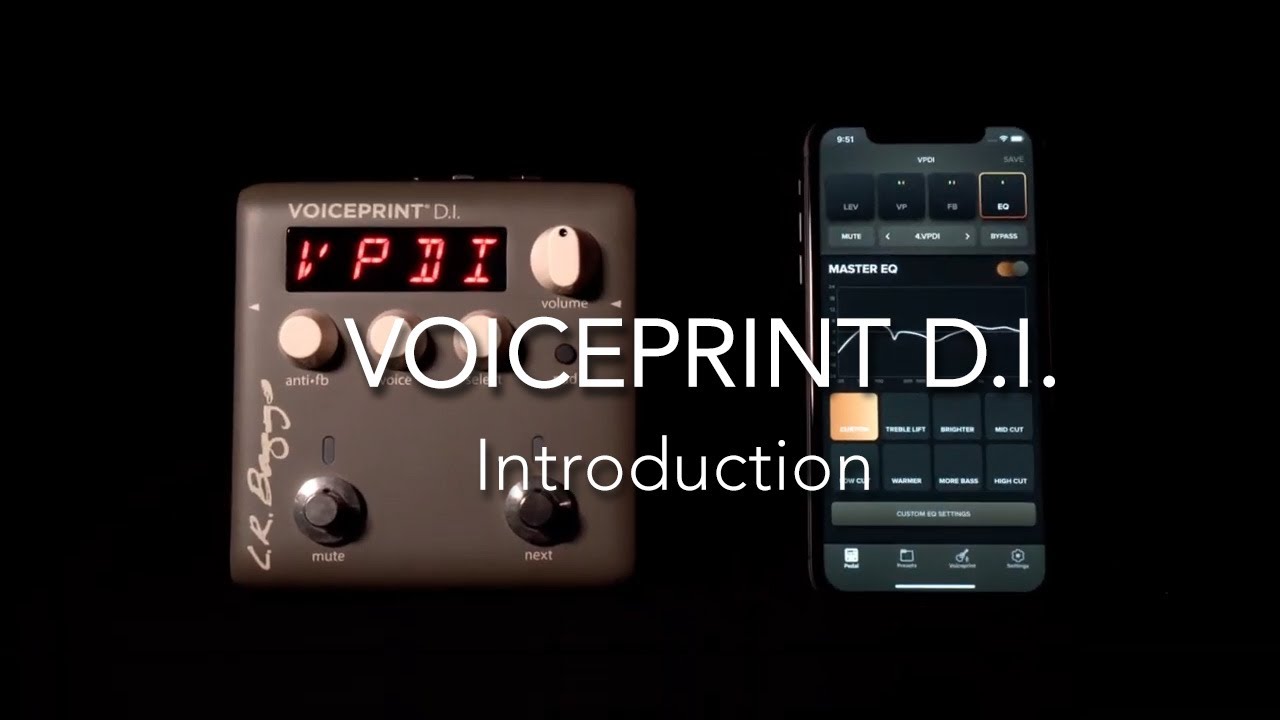 Voiceprint – L.R.Baggs Japan
