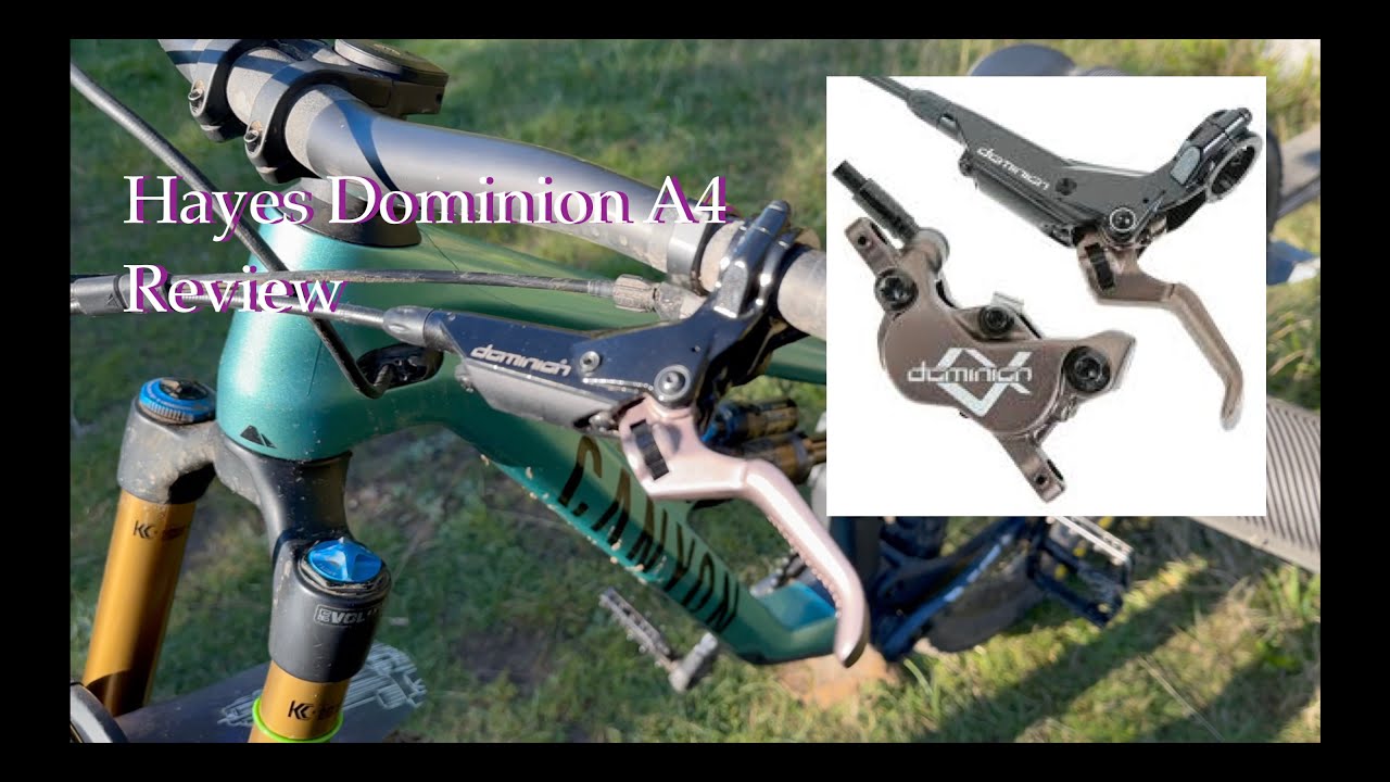 Hayes Dominion A4 Review (Hint: They're Incredible) - YouTube