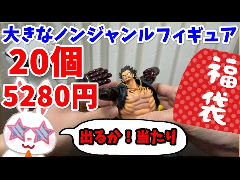 駿河屋福袋】以前の倍の個数になっても出るか当たり！ 5280円で