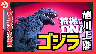 旭川にゴジラが来た！7月11日から科学館サイパル開館20周年記念特別展