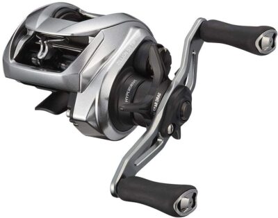 Daiwa Bait Reel 21 Zillion SV TW 1000HL | eBay