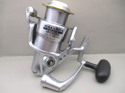 Daiwa Saltiga Blast 4000 Spinning Fishing Reel | eBay