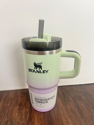 NEW Stanley x Target Hypnotic Green Halloween 20 oz Quencher