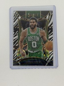 Basketball Zebra | eBay