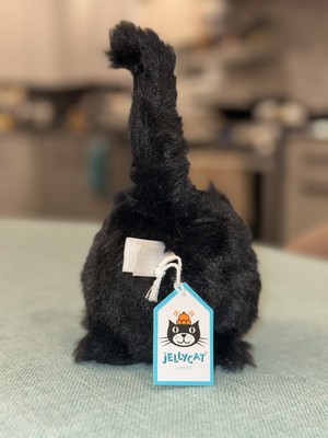 Retired] Jellycat Black Kitten Caboodle NWT with blue storage bag