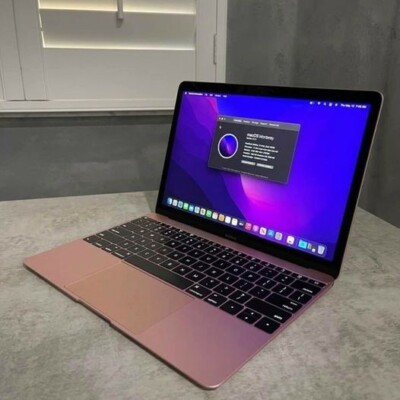 ROSE GOLD 2016 Apple Macbook 12 inch Laptop | eBay