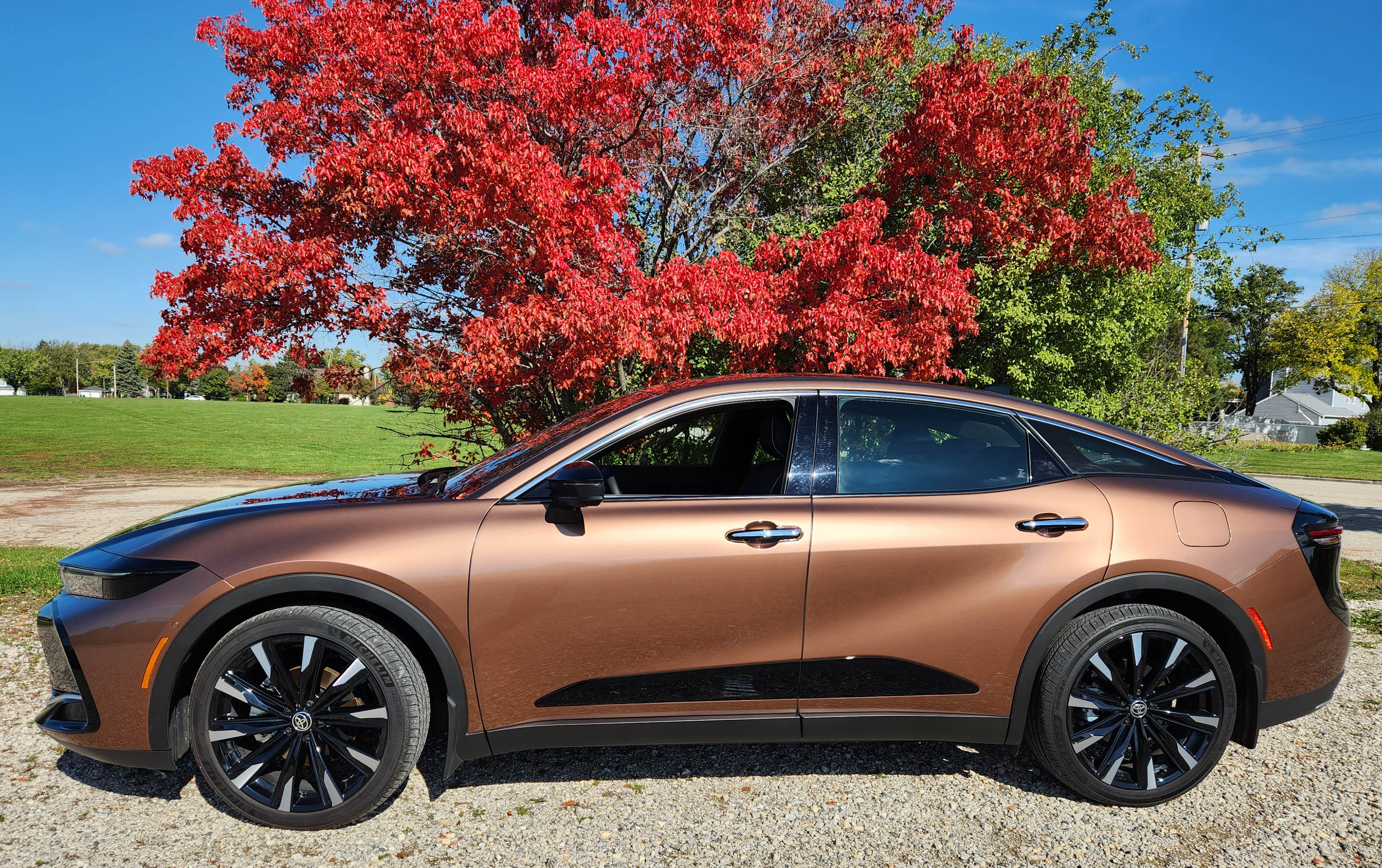 crown-profile2.jpg?fit=1200,