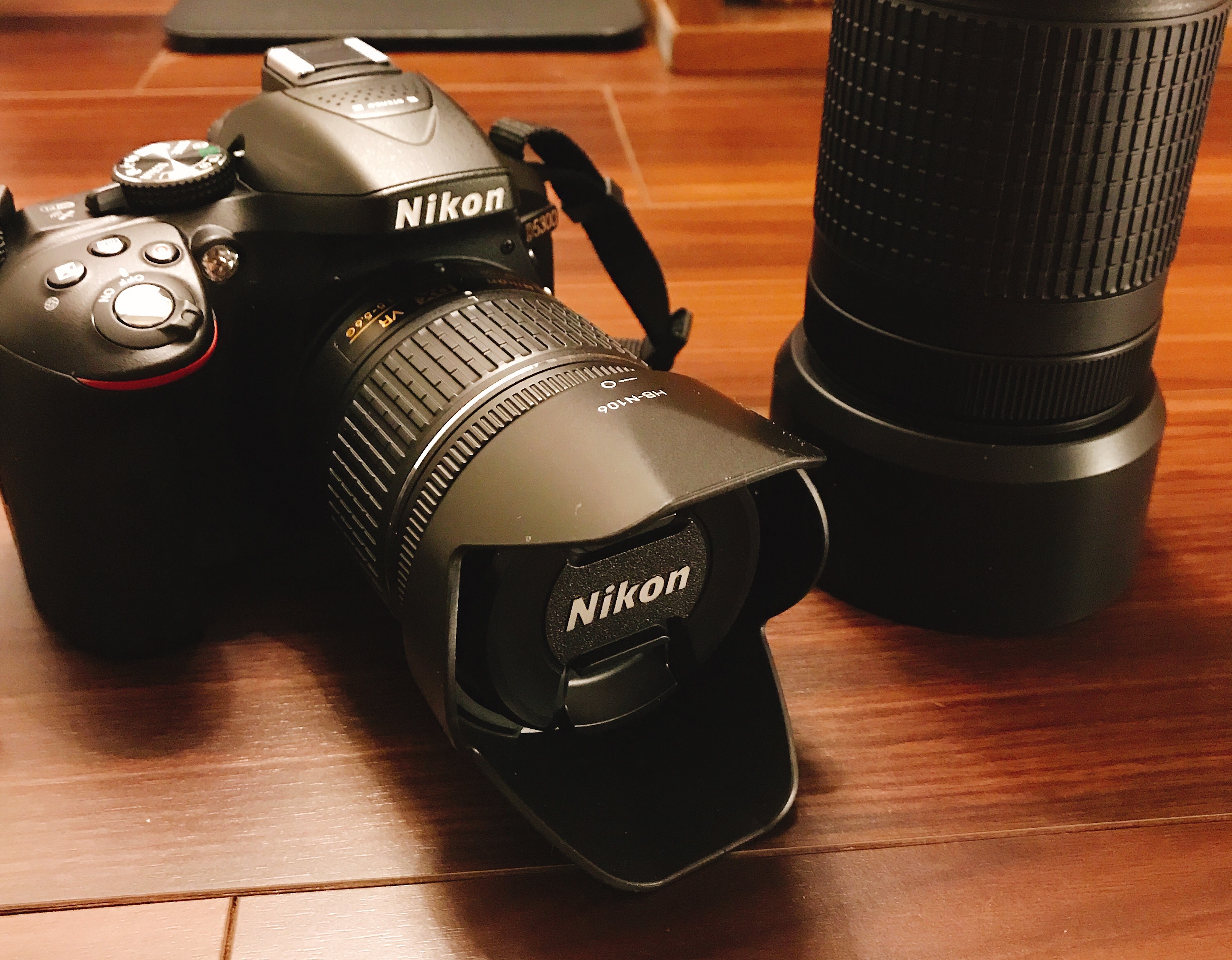 一眼レフカメラの入門機にオススメ！｜Nikon D5300購入レビュー｜うぉ