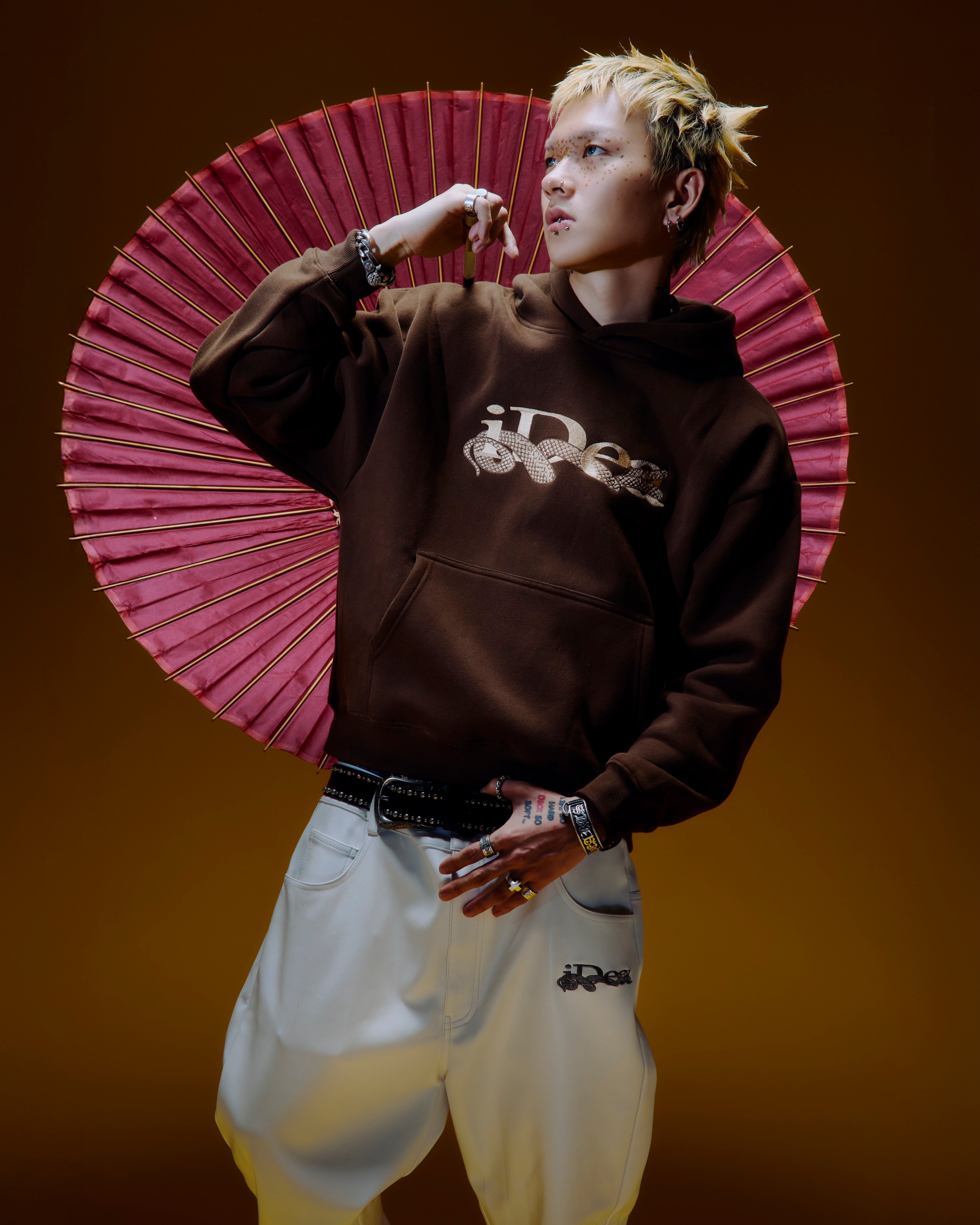 OUROBOROS HOODIE (Brown) 25AW – IDEASWAM