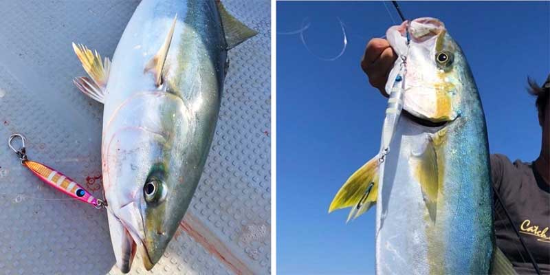 UROCO「ウロコジグ ショート」120g・150g・180g・210g・240g・270g