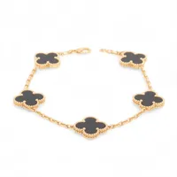 ヴァンクリーフ&アーペル ヴィンテージアルハンブラ 5P タイガーアイ