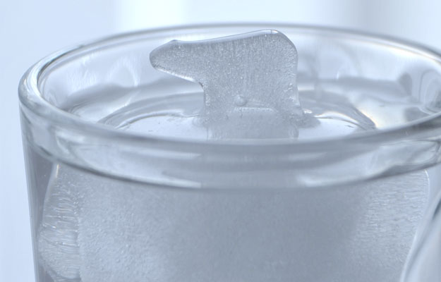 100% snowpeak/スノーピーク Perrocaliente/ペロカリエンテ ROCK ICE