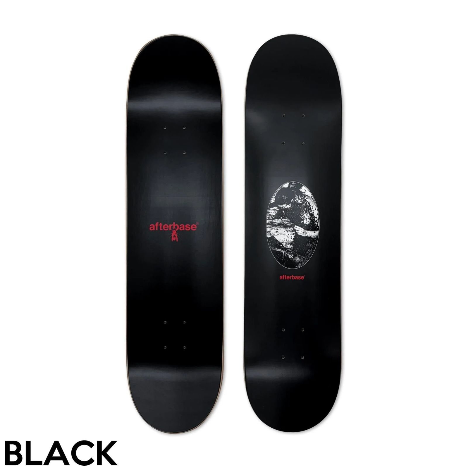 スケートボード - SKATEBOARD 商品一覧 ｜正規通販サイト | HEAL