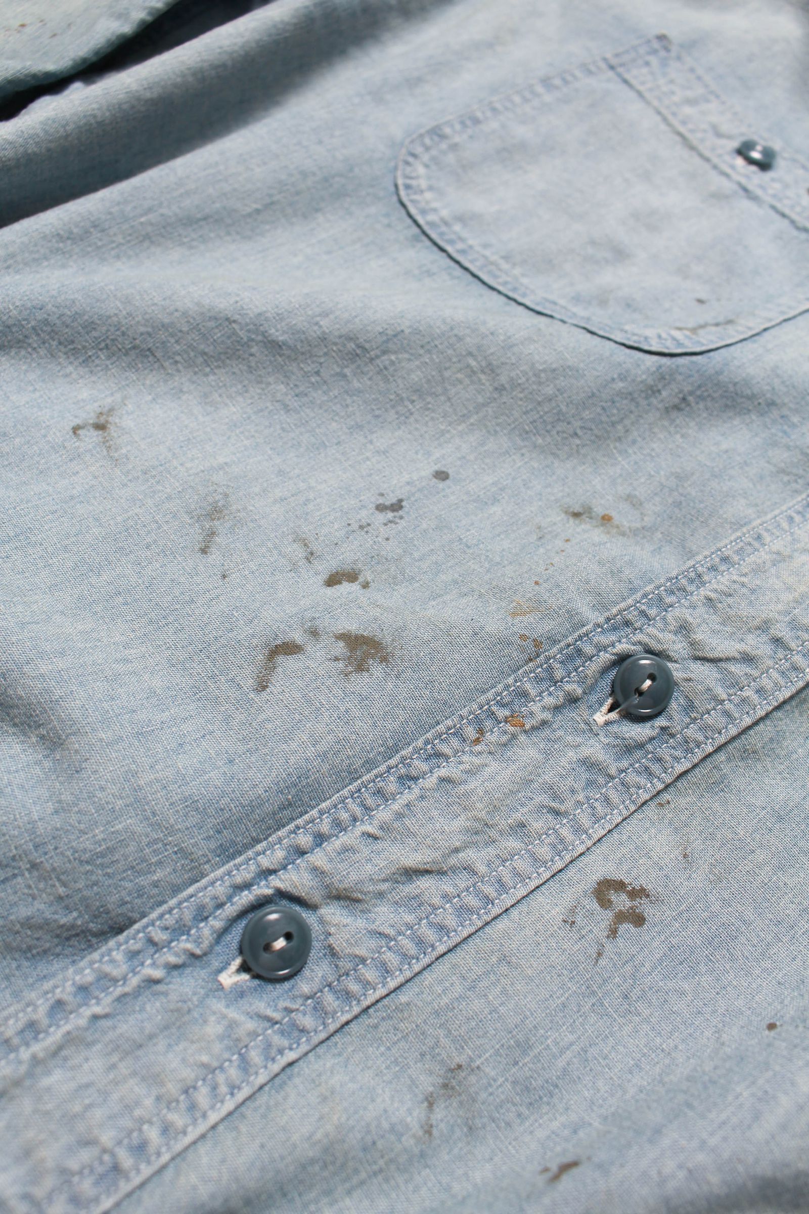 BOWWOW - BOW WOW 26 New Year Release Items バウワウ SKETCH ZOMBOO