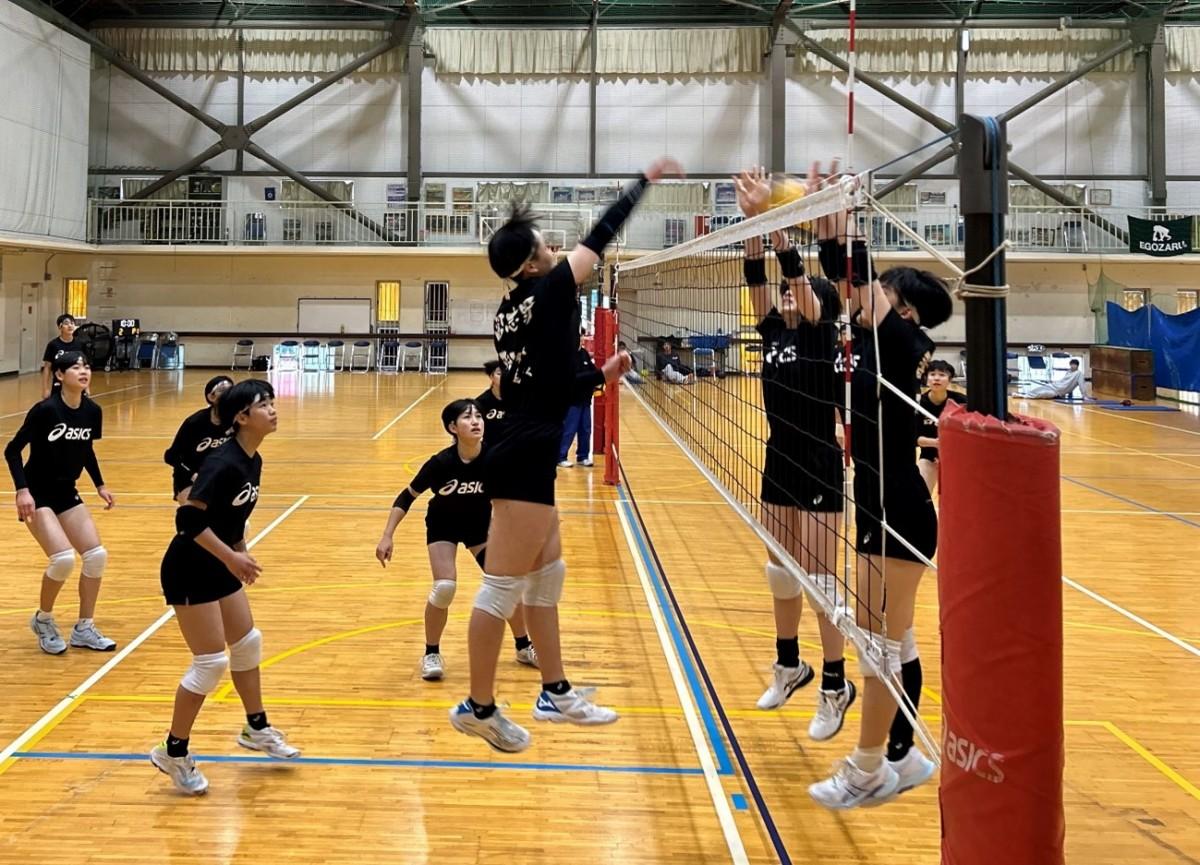 習志野高男女バレー部・男子バスケ部が全国大会へ 女子バレー部は38年