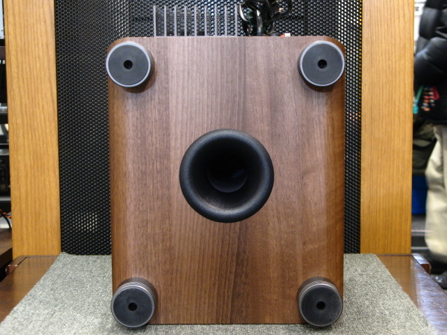 AudioPro サブウーファー SW-150 オーディオプロ SW-150 audio pro