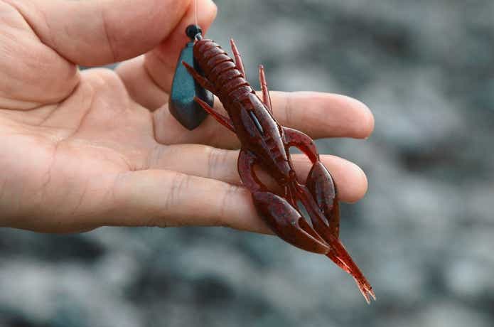 バス釣りワームおすすめ32選｜ワーム“命”な編集部がガチ厳選 | TSURI