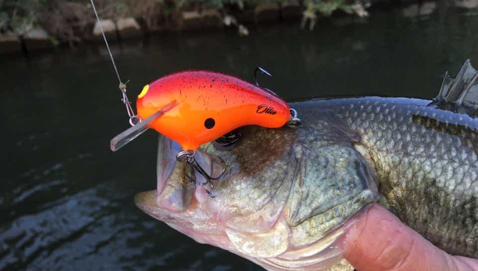 ブラックバスの釣り方講座】10分で読める王道ルアーフィッシング“バス