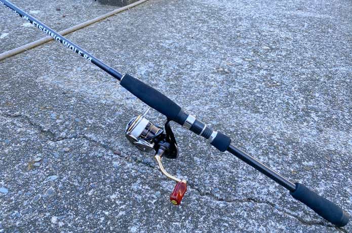 ライトロックフィッシュがおもしろい！釣り方・タックルのキモを解説し