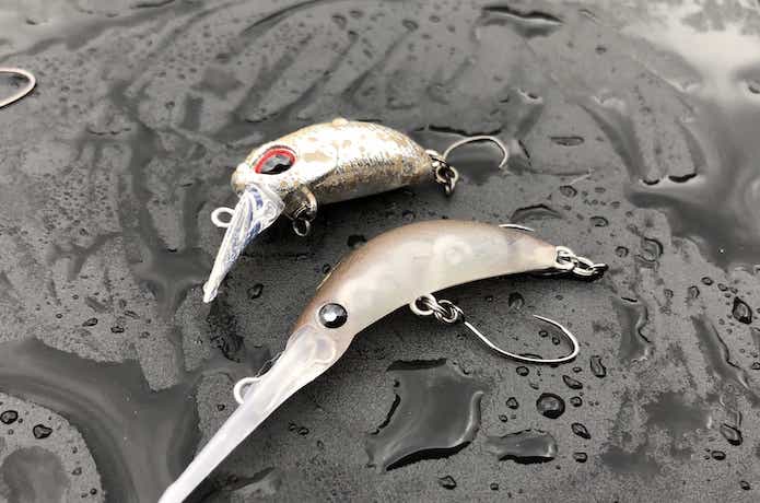 おすすめのエリアトラウト用クランクを元釣具屋が厳選！スプーンより