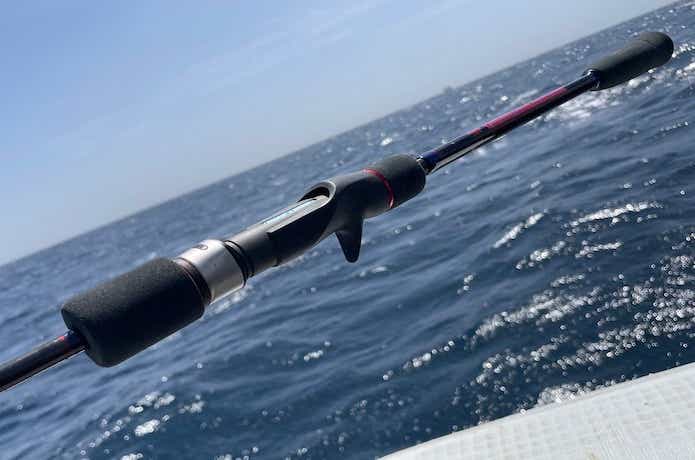 ディープライナーのマニアフェローズをインプレ。棒のように硬い理由と